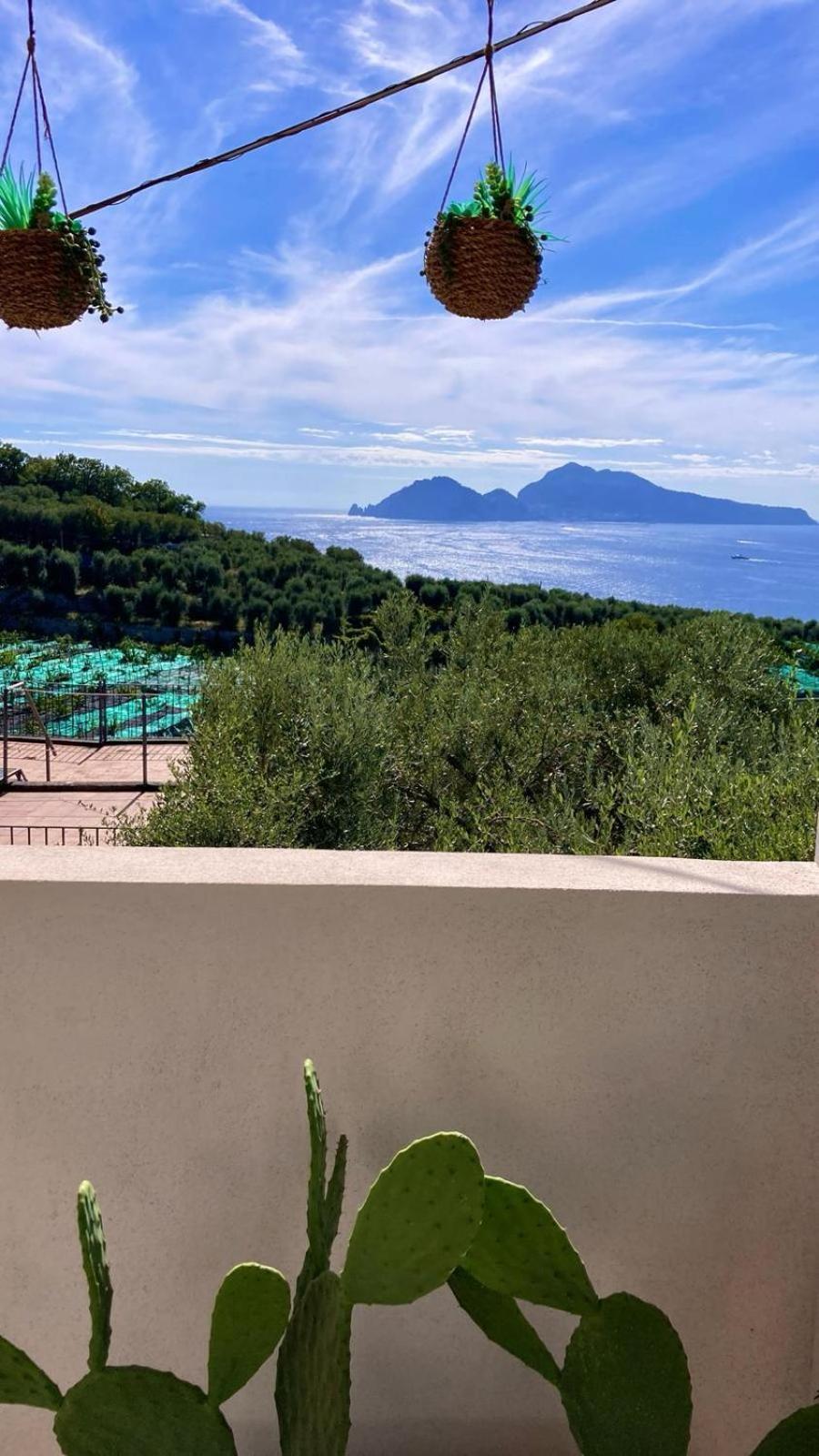 Villa Manu Massa Lubrense Εξωτερικό φωτογραφία
