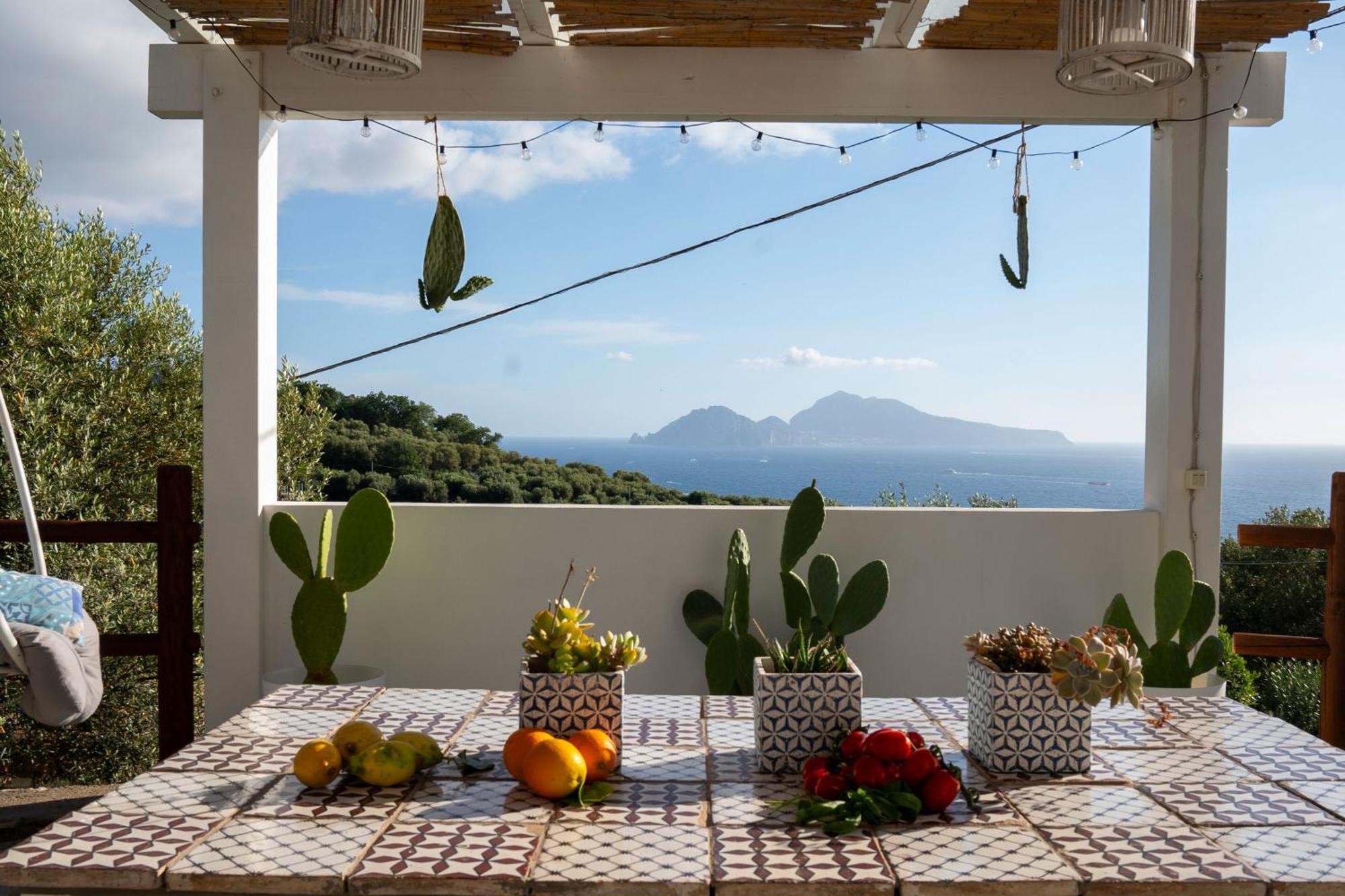 Villa Manu Massa Lubrense Εξωτερικό φωτογραφία