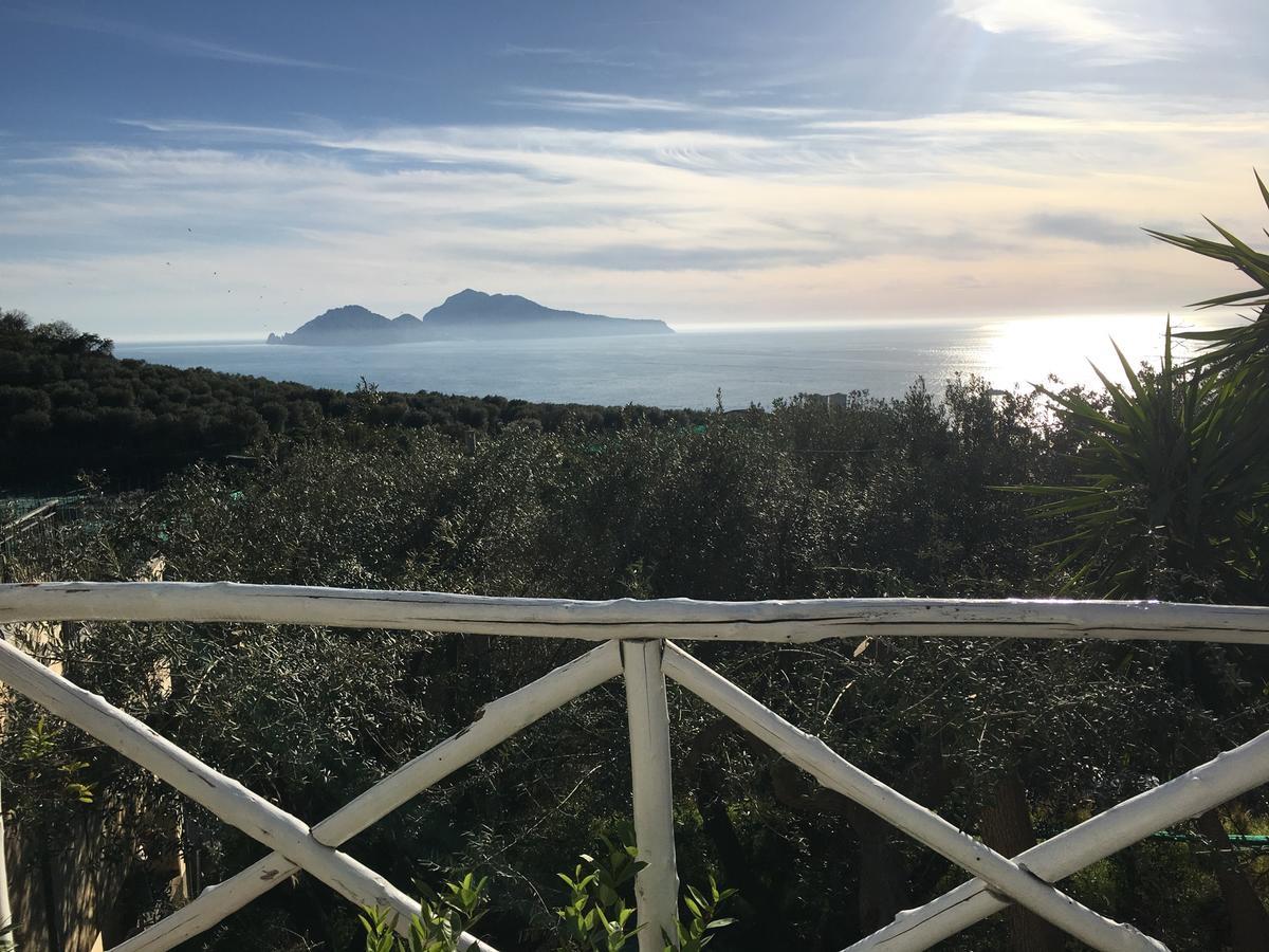 Villa Manu Massa Lubrense Εξωτερικό φωτογραφία